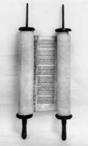 torah